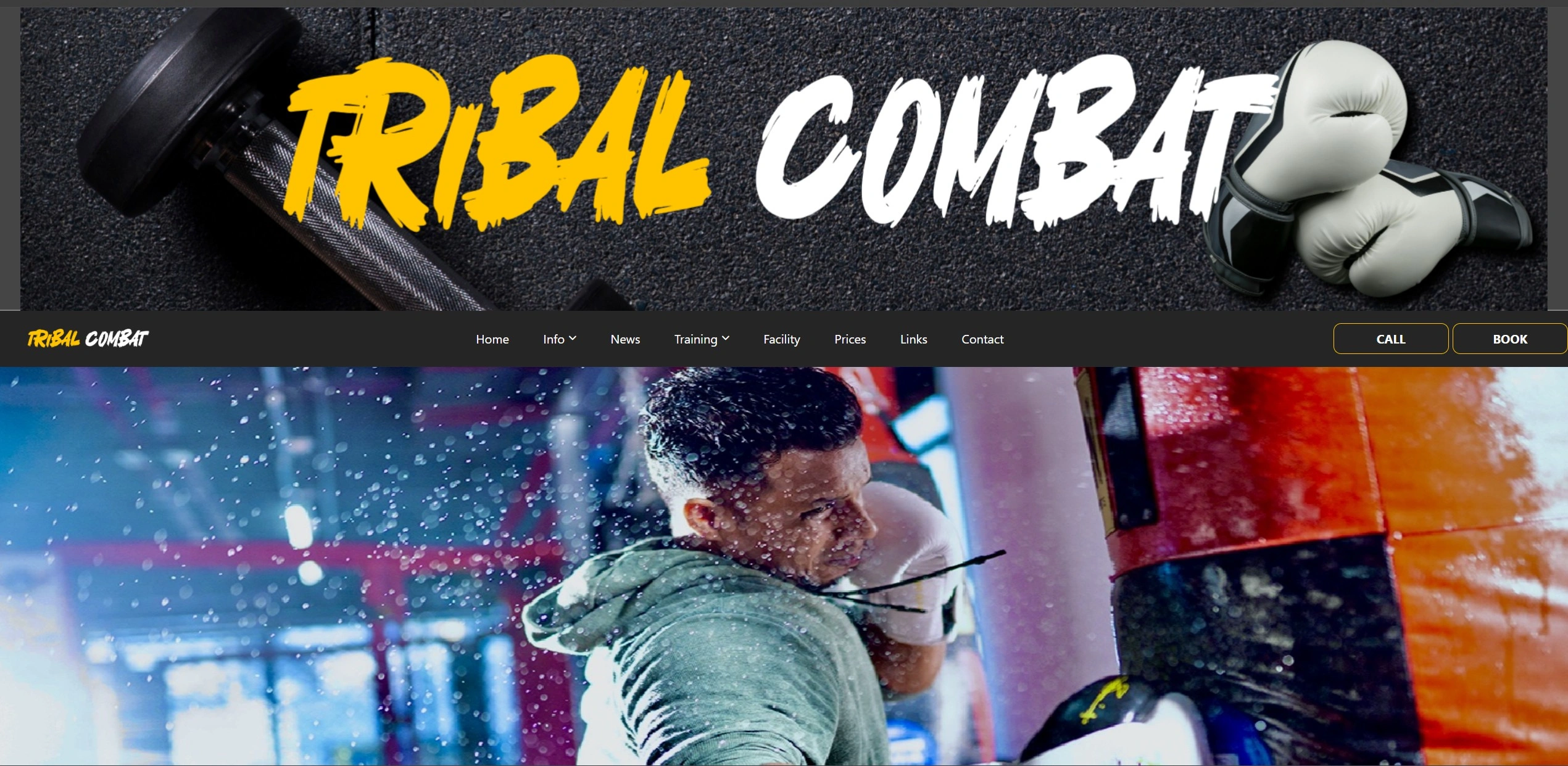 Tribal Combat
